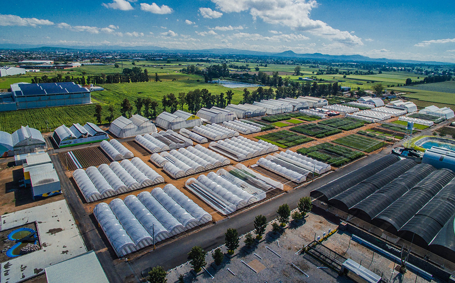 la-expo-agroalimentaria-2023-anunci-que-espera-un-n-mero-r-cord-de-m-s